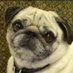 Podydoe (@shari_bayless) Twitter profile photo Podydoe (@shari_bayless) Twitter profile photo