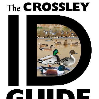 Award-winning author: The Crossley ID Guide Series, The Shorebird Guide and Ornitherapy.