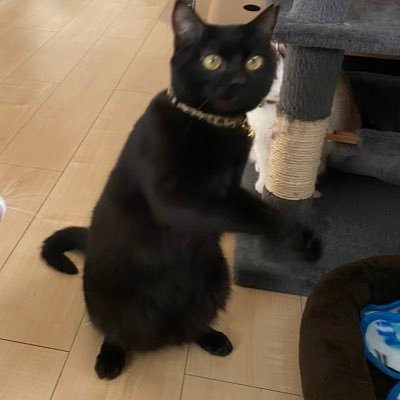 nu75BnbTSfyWvjb's profile picture. 株、FX、仮想通貨何でもやってます。色々やりすぎて失敗も多いです。。。それでも稼げる案件もあります。興味ある人は共有しませんか？いいことばかりではなくリスクもちゃんと話します。まずはお話だけでも、、、、←やばいやつｗｗｗ
逆に儲け話もってきてくれるのも大歓迎！