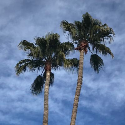 23queserasera's profile picture. MAGA all the way!