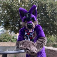 ShilohWolf (@shilohwolf4) 's Twitter Profile
