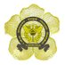 Bea Cukai Bengkulu (@beacukaibkl) Twitter profile photo Bea Cukai Bengkulu (@beacukaibkl) Twitter profile photo