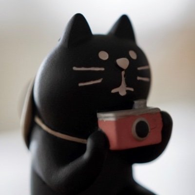 senchaさんのプロフィール画像