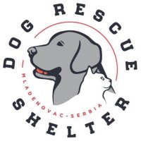 Dog Rescue Shelter, Serbia(@DogRescueSerbia) 's Twitter Profile Photo