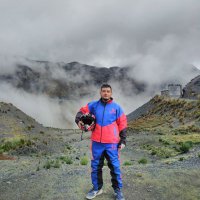 Mapache King (@nicomapache) 's Twitter Profile