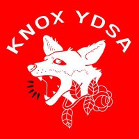 Knox College YDSA(@KnoxYdsa) 's Twitter Profile Photo
