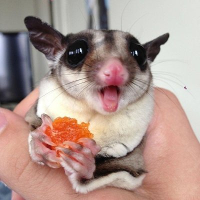 PhDingus's profile picture. Scientist by day, terrible joke writer also by day