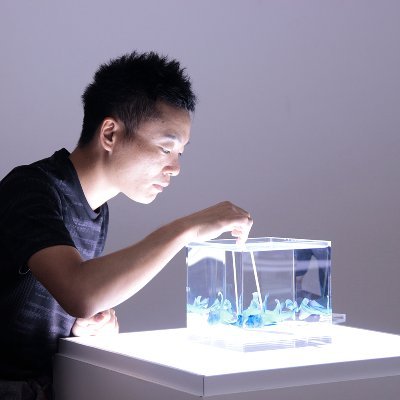 写真集第二章を2014.7.16に発売しました。透明標本という存在を知らしめるため、適度緩やかに気張っています。 冨田伊織(Iori Tomita) 新世界『透明標本』~New World Transparent Specimen~ で活動中。HP:http://t.co/UDs3rhtriE