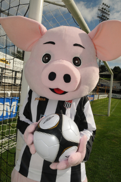 BladudthePig's profile picture. I'm the mascot for Bath City FC.  I'm named after the legendary King and pig-keeper who founded Bath.  Eat your heart out, Spytty the Dog!