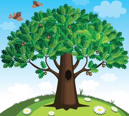 CountryVoice's profile picture. 