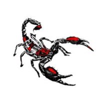 Scorpion LTD (@thescorpionltd) 's Twitter Profile