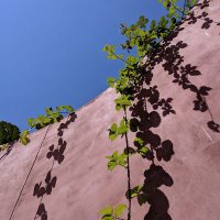 Xinyu Feng (@xashleefeng) 's Twitter Profile Photo