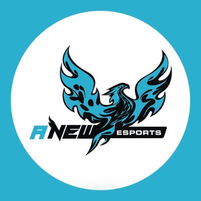 ANEW Esportsさんのプロフィール画像