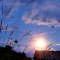 olmomp@c.im (@olmomp) 's Twitter Profile