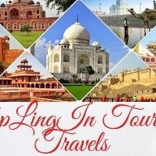 TriplingI's profile picture. We, TripLing In tours and travels is the travel agency which is established in 2020.