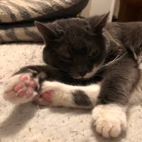 Stephen M Lloyd ๐จ๐ฆ (@stephenmlloyd3) 's Twitter Profile Photo Stephen M Lloyd ๐จ๐ฆ (@stephenmlloyd3) 's Twitter Profile Photo