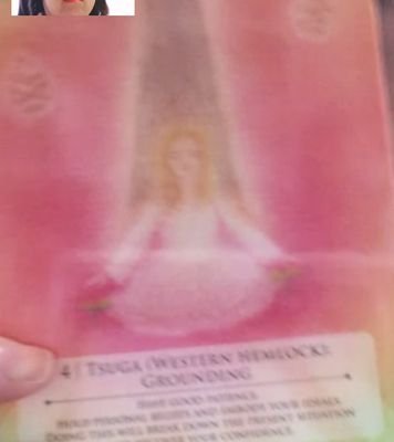 ladygaia5's profile picture. 仙台在住　小室さんの曲が好き！globe歌うときはLady GAIA　歌好きスピリチュアルイベントを2018年年末と、今年6月、東京でやってきました　はい！globeやら朋ちゃんやら歌いましたよ！小室さん戻ってきてほしいなぁ…TK以外のことも沢山つぶやきます♡
お気に入り/神社　ネコ　チョコ　歌ったり、詩書いたり…　