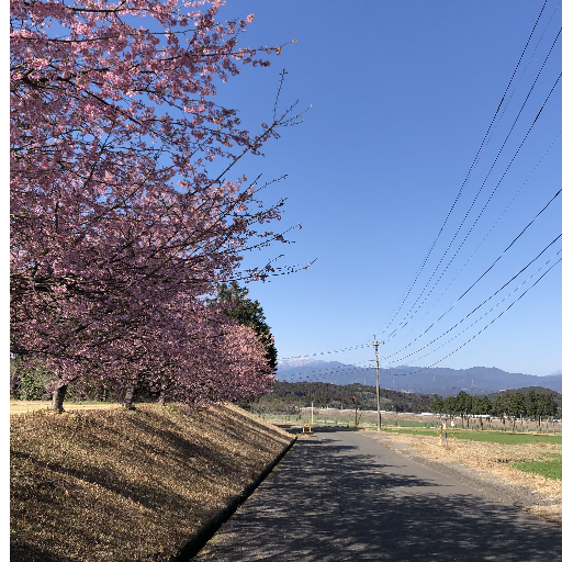 宮崎県庁の出先機関です。県政情報については、特段の記載がない場合、宮崎県北諸県・西諸県両地域に居住・就労されている方を対象に情報を発信しております。