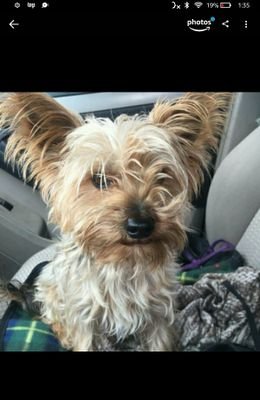 BudClevenger's profile picture. Formely worked for Amalgamated Consolidated Incorporated Unlimited LLC