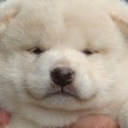🌼さんのプロフィール画像