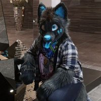 Iraxt The Wolf (@iraxtthewolf) 's Twitter Profile