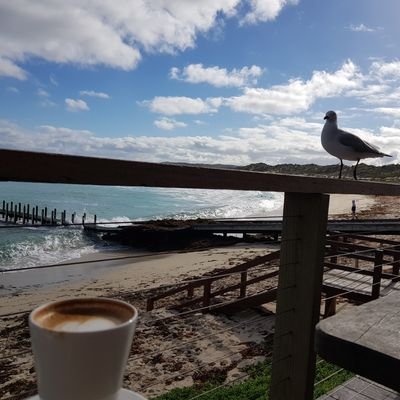 tarrynjoy's profile picture. 