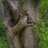 zottsingtao's profile image