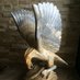 Tribunaugustus🇩🇪🦉🇮🇱✏️ (@tribunaugustus) Twitter profile photo Tribunaugustus🇩🇪🦉🇮🇱✏️ (@tribunaugustus) Twitter profile photo
