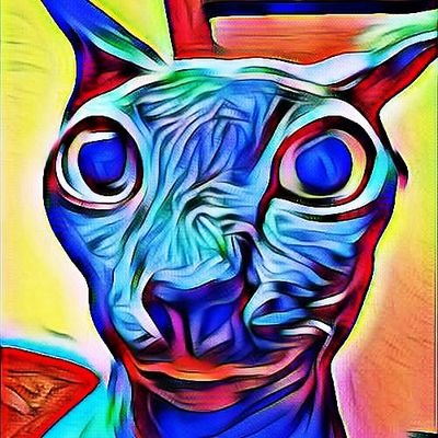 Goamoongoamoonさんのプロフィール画像