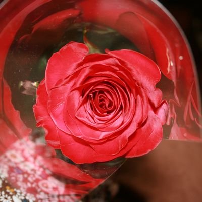 우리 생에는 아름답고 다정하고 향기로운 말을 할까요.