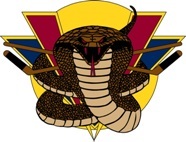Executive Vice President of the Vernon Vipers Hockey Club