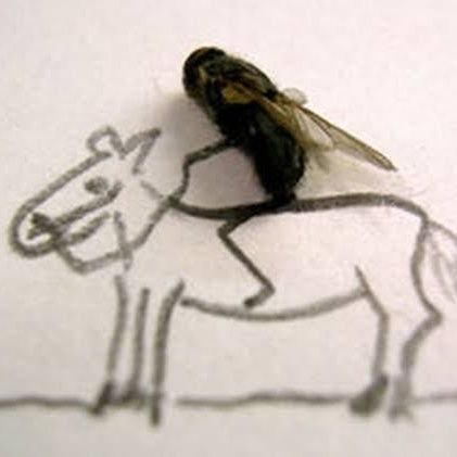 ASinekler's profile picture. 