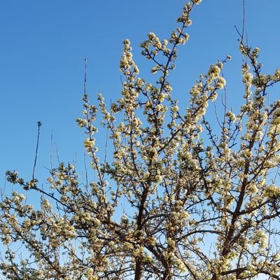 Agricultor, andaluz. Y preocupado por los ataques contra lo rural