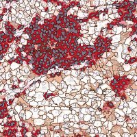 Signoretti Lab (@labsignoretti) 's Twitter Profile