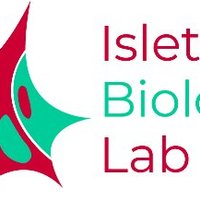 Islet Biology Lab - UMH(@isletbiologylab) 's Twitter Profile Photo