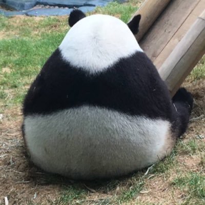 @SconeBagel