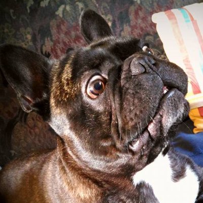 AurelieMiam's profile picture. 