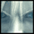 tweetr33d's profile image