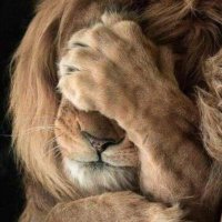 BP 1 (@barrypreston1) 's Twitter Profile Photo