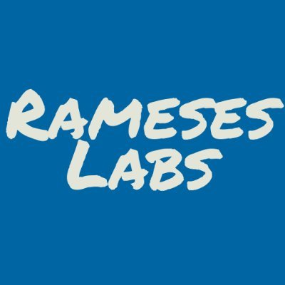 Technology Consulting, WordPress Development, CMS Development, Shopping Cart Integrations, IT Solutions, Digital Economic Development.
Cash App: $rameseslabs