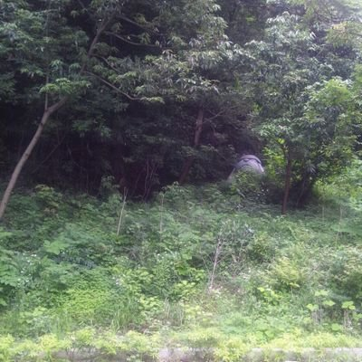 hiramayo00's profile picture. 成人済み（２０歳以上）オタク。刀やらお空やら観測所やら。令和に🟥☄️にメロついて動揺してる。🟥🟩が同じ画面に入れば幸せ。日記替わりのアカウントなので、こちらからの鍵あけはしていません。住所とか勤め先とか仕事の愚痴とか書いちゃってるんでごめんなさい。