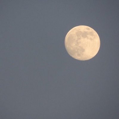 Mst_str11's profile picture.