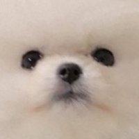짤랑이조앙 (@dntjrdktkfkdgod) 's Twitter Profile