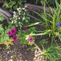 june 〓〓 (@puddyalex) 's Twitter Profile