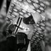 RetweetsLord🔄👑 (@baronofjaji) Twitter profile photo RetweetsLord🔄👑 (@baronofjaji) Twitter profile photo