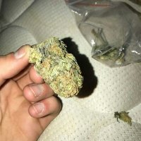 Weed Stuff(@WeedStuff3) 's Twitter Profile Photo