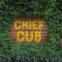 Chief Cub(@ChiefCub) 's Twitter Profileg