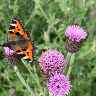 trevor_et's profile picture. Changing times!