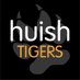 Huish Tigers FC (@HuishTigersFC) Twitter profile photo