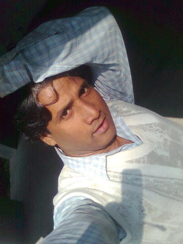 sanatanization's profile picture. 